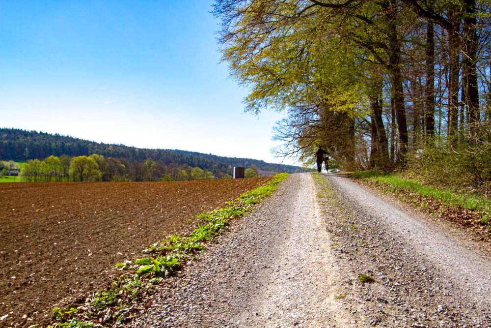Sicht vom Radweg