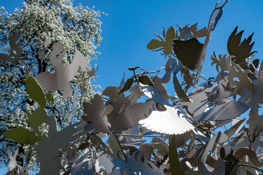 Detail der Flora und Fauna