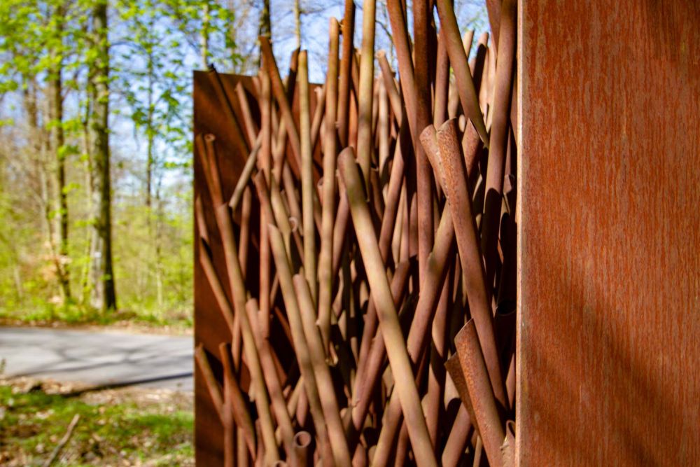 Blick ins Waldstück 