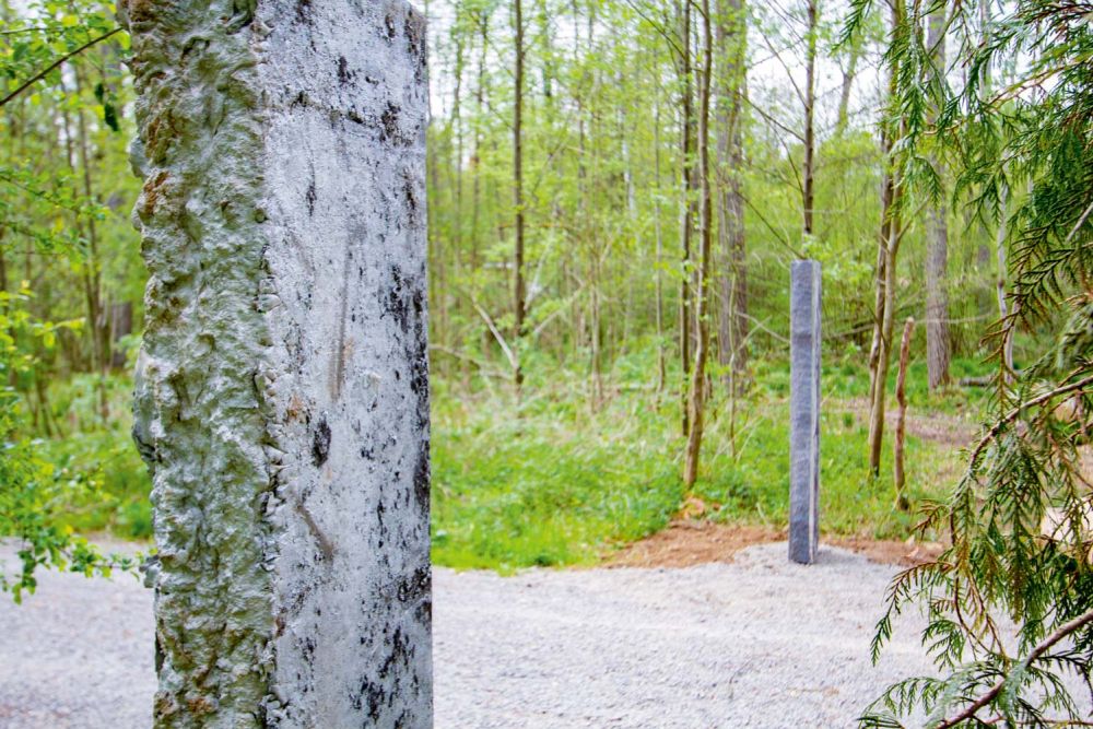 Gegenüberstehende Pfähle