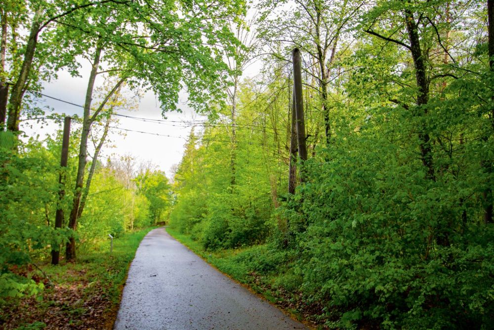 Brücke über den Radweg